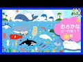 海の生き物 お魚さんはどーれだ?隠れている動物を探してみよう★水族館にいる生き物がいっぱい♪サメ イルカ クジラ シャチ 赤ちゃん 喜ぶ笑う泣き止む 子供向け 知育アニメ sea animals