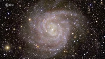 Euclid’s First Images: The Dazzling Edge of Darkness