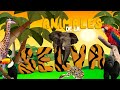 Animales de la Selva para niños | Sonidos de animales | Videos educativos | LeoFunTv