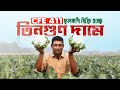 CFE 411 ফুলকপি, বিক্রি হচ্ছে তিনগুণ বেশি দামে #everyone #agriculture #followers #marketprice