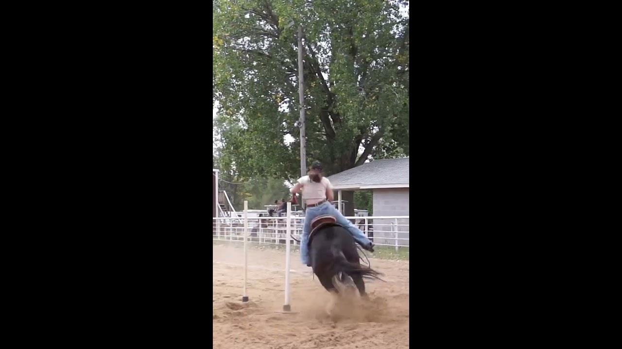  Nsca Omoksee Horse Shorts Fast Westernriding Family Horseshow Western