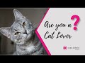 Are you a cat lover  colour with love  passionate pets  cubix imprint