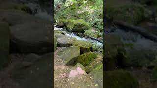 Karlstalschlucht Bei Trippstadt Älzerwald