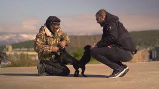 Gipsy-Malinoismachiseminar Marek Urban