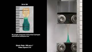Tensile test of the 3D printed self-healing hydrogel.