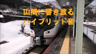 ＨＣ８５系特急「ひだ」に乗ってきました（富山駅→猪谷駅）