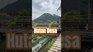 Hutan Desa Ngablak Magelang