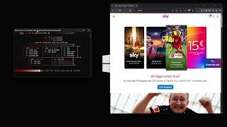 Inverse C2 Showcase VS SKY.DE BEST C2/API/BOTNET 2025