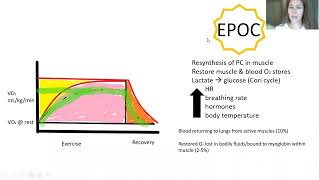 Excess Post Oxygen Consumption (EPOC) Simplifed