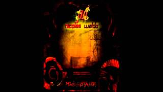 Nicolas Waldo - Gigawatts