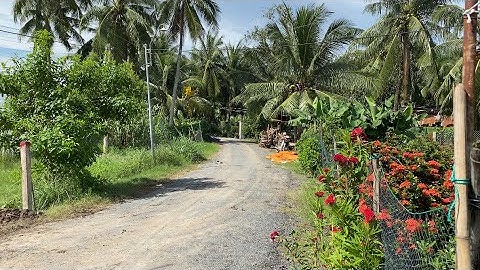 Tập 2325❤️🌸bán đất lộ nhựa giá rẻ 310tr ở Gò Công Tây,5x30 có 100m2 thổ cư,giá rẻ nhất khu vực