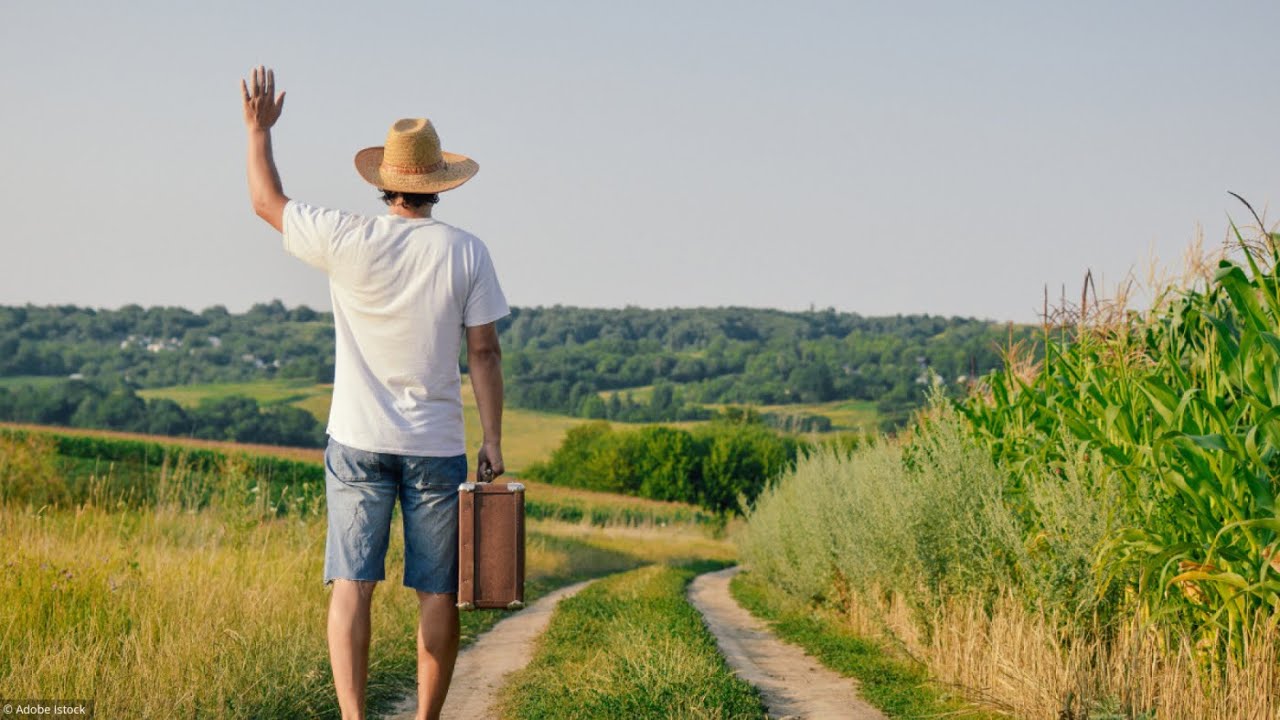IL FAUT VRAIMENT TAILLER !