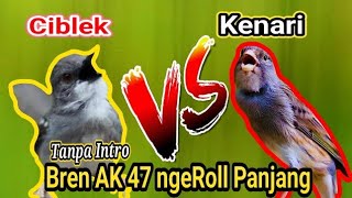 Ciblek Bren AK 47 Vs Kenari Rol Panjang Masteran Paling Banyak Di Cari Juri