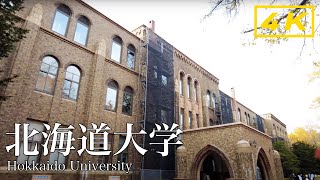 【4K】Hokkaido University Walk - Gingko tree | 北海道大学