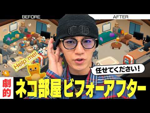 放課後 GAMING LIFE 最新動画 にゃるほど神山のビフォーアフター!可愛い猫に癒されながらお片付け【お掃除日和】