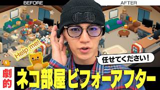 "Nyaru-hodo" Kamiyama's Before and After! Cleaning up while being healed by cute cats [A perfect ... screenshot 3