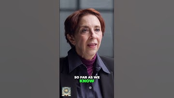 Why Are We Even Here? Existential Crisis