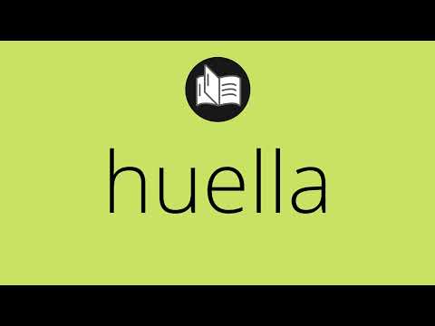 Video: ¿La huella es un sustantivo?