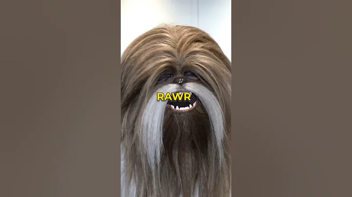 I interviewed a wookie at Star Wars Celebration #starwars