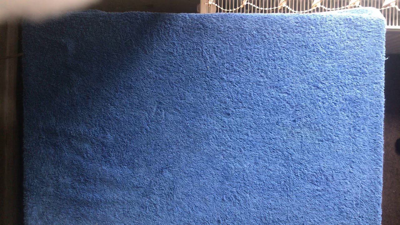 Poundland engagement ring YouTube