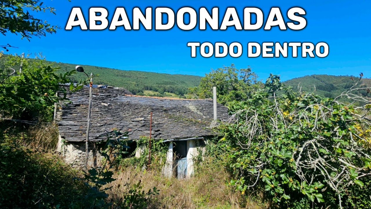 NO ME IMAGINABA ENCONTRAR ESTO AQUÍ 😲