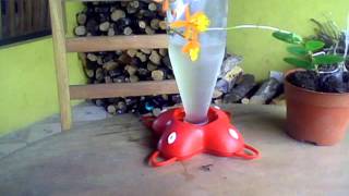 Capture 20120522 19