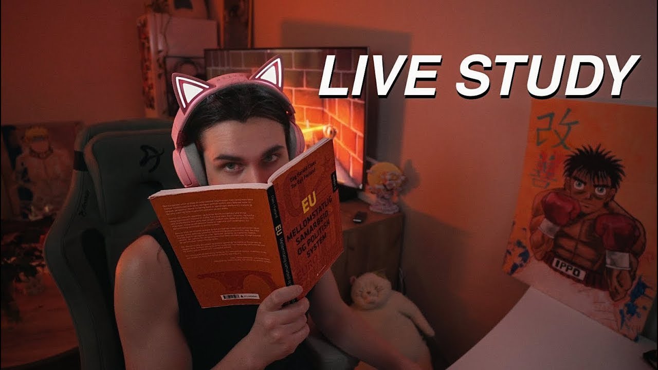 LIVE | 7-HOUR Study With Me 📚🌧 Rain Sounds • Pomodoro 50/10