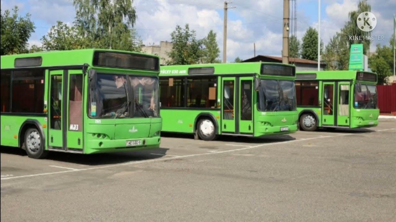 Автобусы г Бобруйска