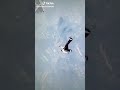 اغنيه الله معك يا صاحبي