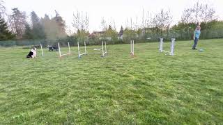 Foundation Jumping Level 1-Progressive Grid 4,5,6,7’-04-28-23