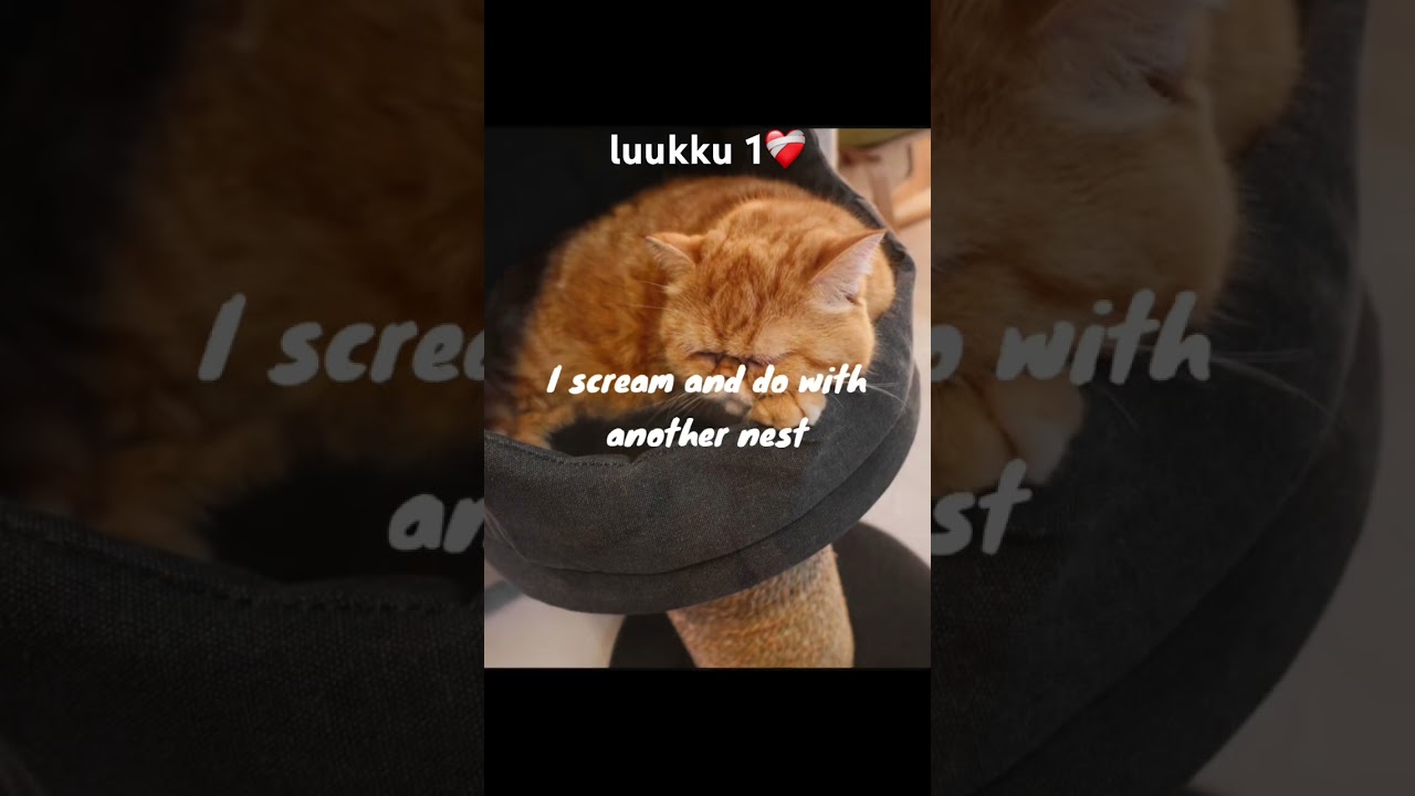 editkalenteri[ Luukku 1🎄