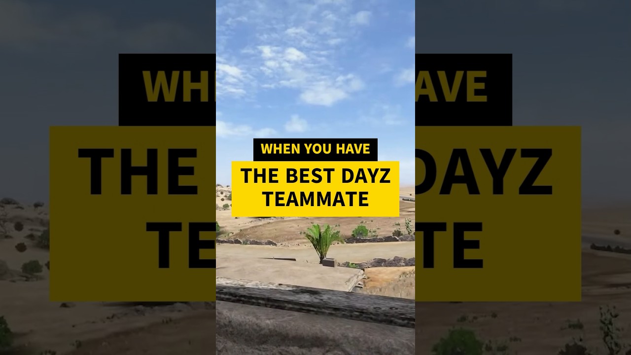 WHEN YOU HAVE THE BEST DAYZ TEAMMATE #dayz #dayzgameplay #dayzbadlands #dayzgamers #gaming