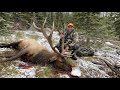 Epic kill shot  idaho elk hunt  stuck n the rut 157