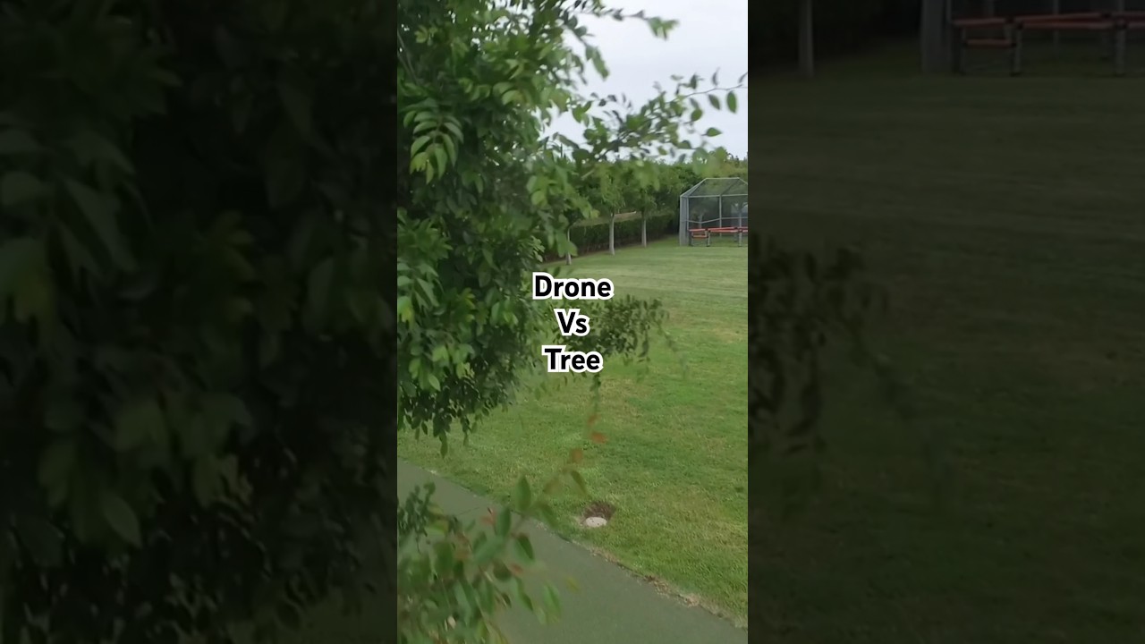 Drone Vs Tree