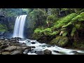 10 Minute Water Fall Sound Effects | Chilling #waterfallmusic 💧 | #relaxationmusic 🌊 #10minutesounds