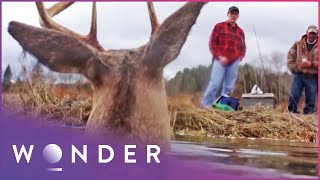 Rogue Deer Attack Nearly Kills Nephew-Uncle Hunting Duo Fight To Survive S1 Ep5 Wonder