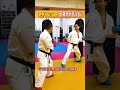 空手家・ともぞー先生の神速の突き