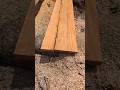 Esto pasa cuando un árbol está dañando 😱 #chainsaw #sthil #madara #asmr #woodworking
