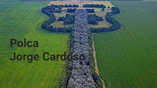 Polca Paraguay Jorge Cardoso