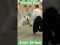 Aikido Ryu Ando Shihan #aikido #合気道 #martialarts #演武