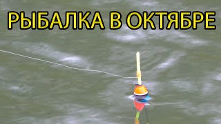 видео: САМАЯ НЕРВНАЯ РЫБАЛКА! картинка: САМАЯ НЕРВНАЯ РЫБАЛКА!