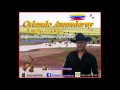 Orlando Amundaray Cajon de arauca apureño