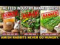 9 BANNNED Amish RABBIT Tricks That Could Save You $3,000 a Year on Feed 😳