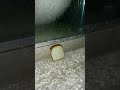 Bread😭