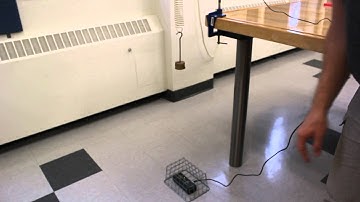 Experiment - Simple harmonic motion