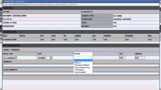 Ledger - Pending Check - Posting A Transaction And Confirming A Pending Check