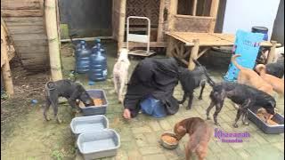 WANITA BERCADAR PENYELAMAT ANJING | KHAZANAH (20/04/21)