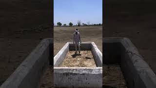 এই মরুভূমিতে গরু গুলাকে পানি খাওয়ার ব্যবস্থা করে দিলাম