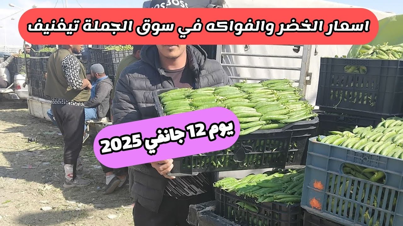 اسعار الخضر والفواكه في الجزائر في سوق الجملة تيغنيف ولاية معسكر ليوم 12 جانفي 2025 أسواق الجزائر