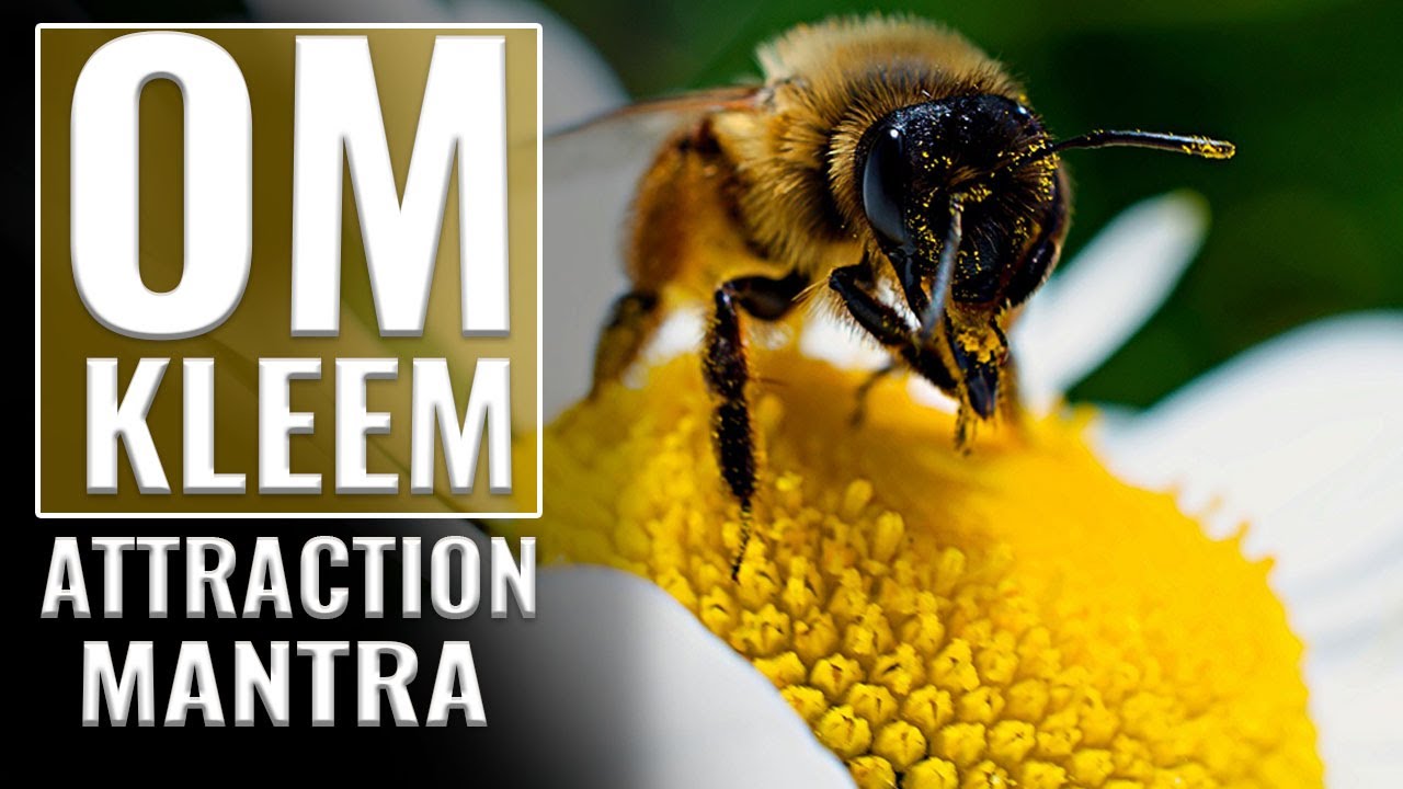 Om Kleem Kleem Kleem | Very Powerful  Attraction Mantra | The Omkar Sound